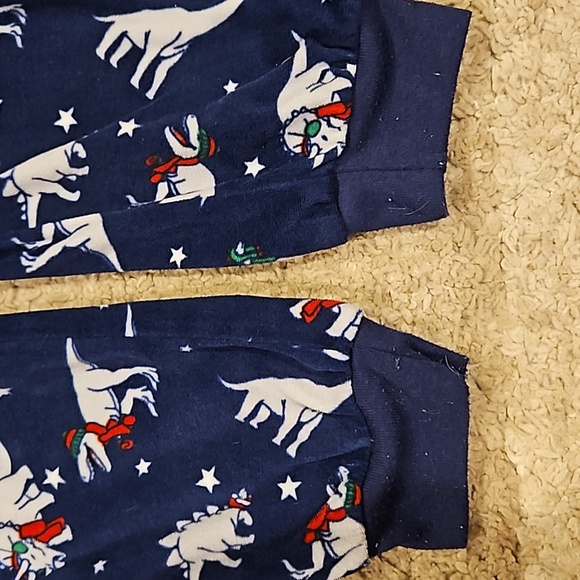 Boy's Holiday Dino Pajama Pants. Super Soft Flannel. Sz: L (10/12) Looks Great! - Picture 3 of 8